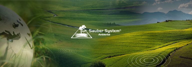 Sauber System
